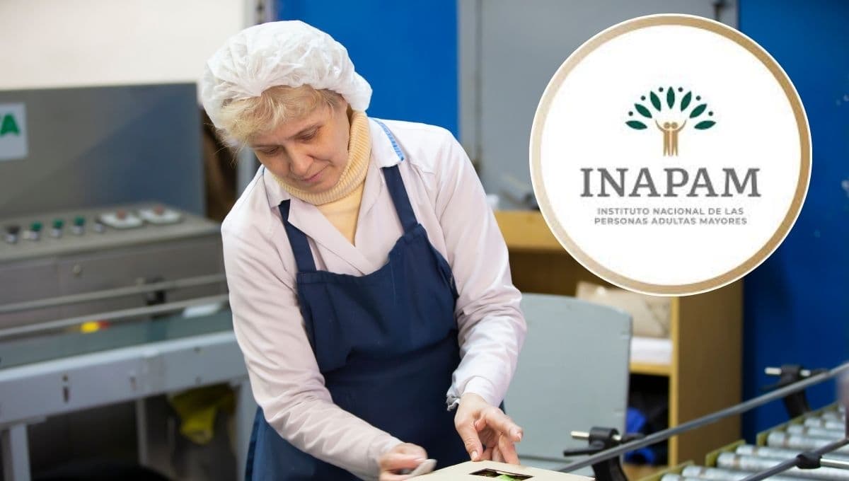 Tarjeta del INAPAM: así puedes conseguir empleo y ganar más de 8 mil pesos al mes
