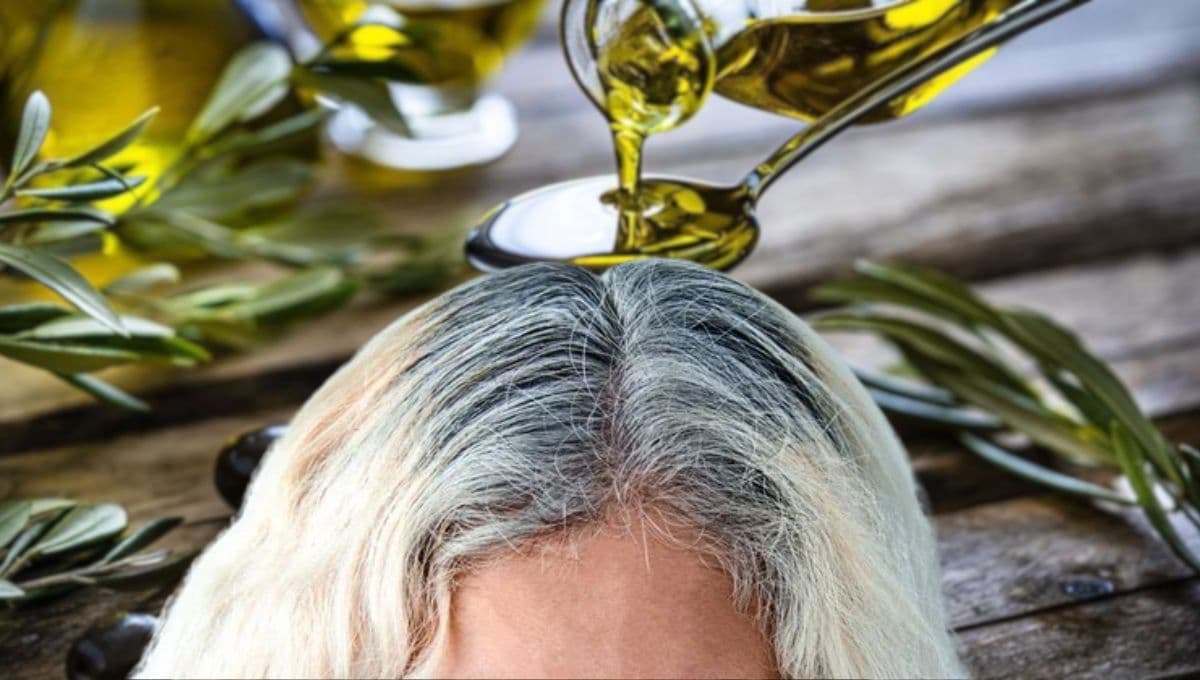 Aceite de oliva para las canas: el truco para oscurecer los pelos blancos