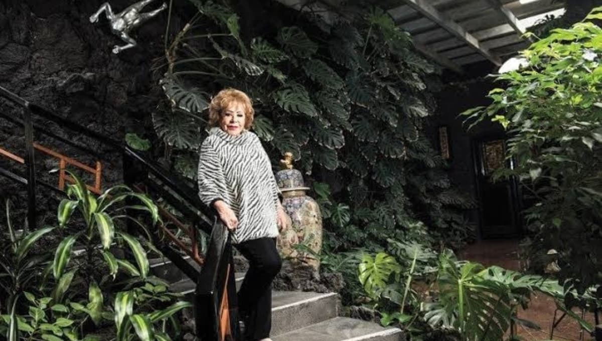 ¿En dónde queda la mansión de Silvia Pinal? Así luce su lujosa casa | FOTOS