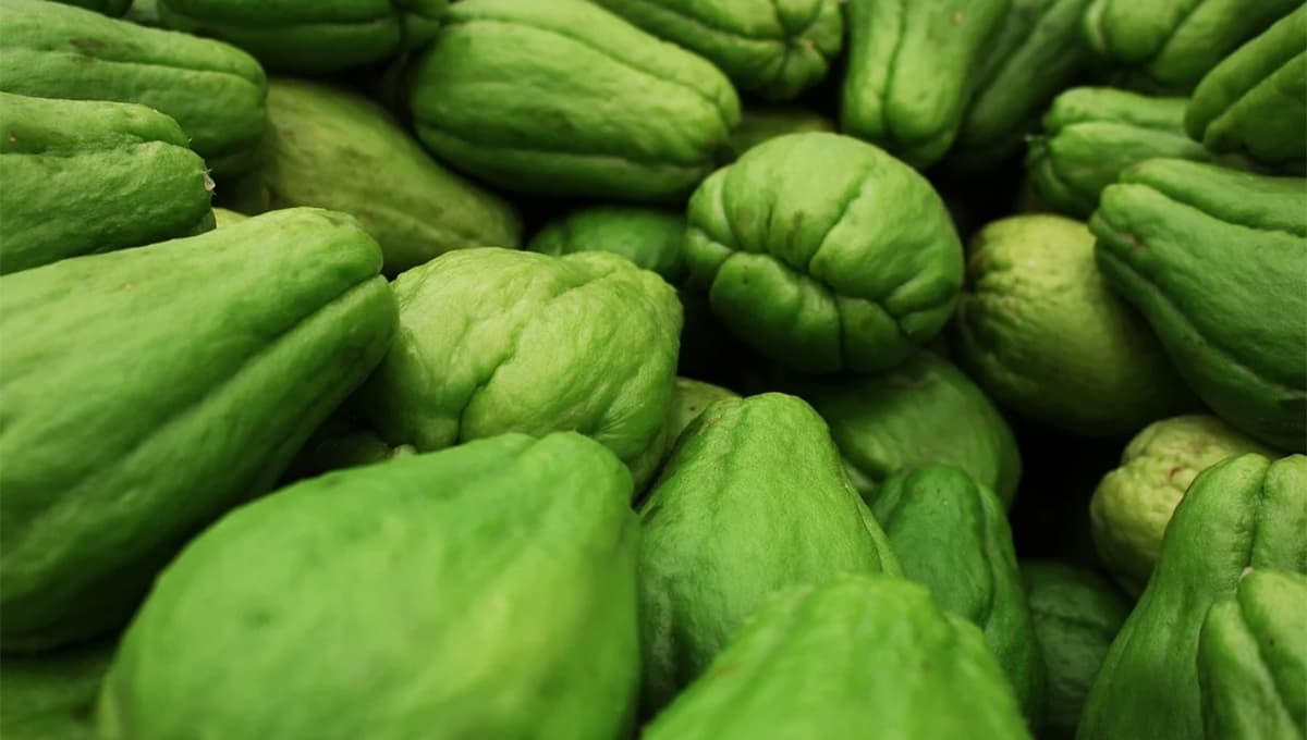 Jugo de Chayote: Ayuda a la pérdida de peso y todos estos beneficios RECETA