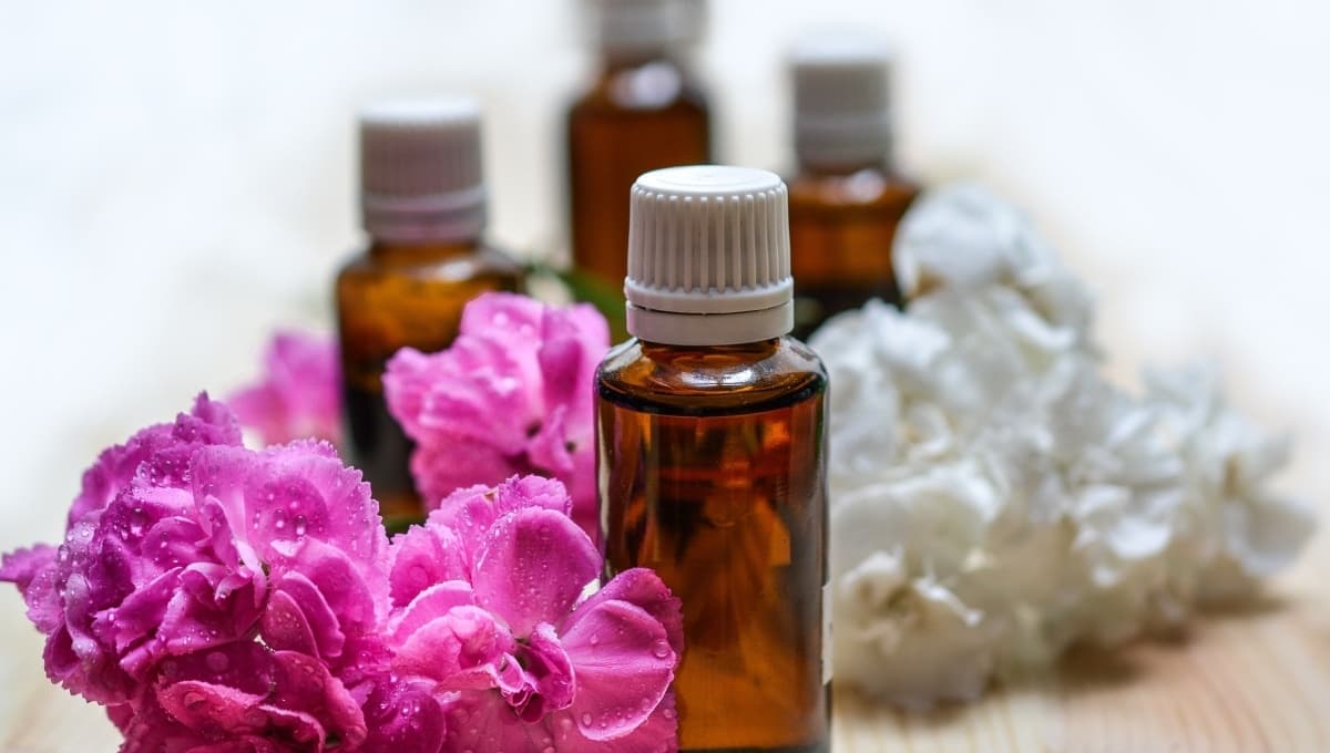 3 sencillos tips para ELIMINAR los malos olores de tu hogar de forma natural