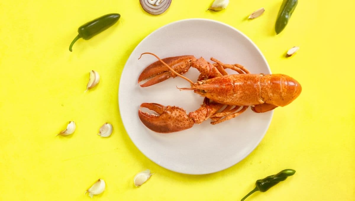 ¿Cuál es el alimento que tiene más proteína?