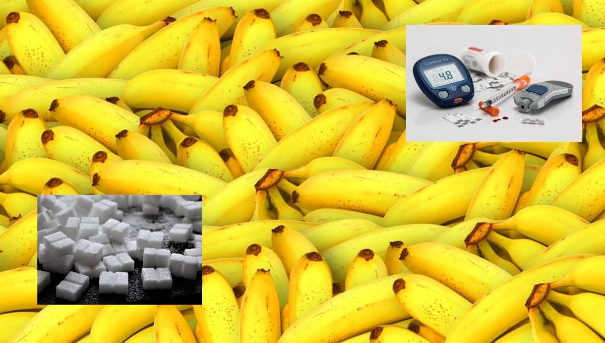 ¿Cuál es el tipo de plátano que tiene menos azúcar?
