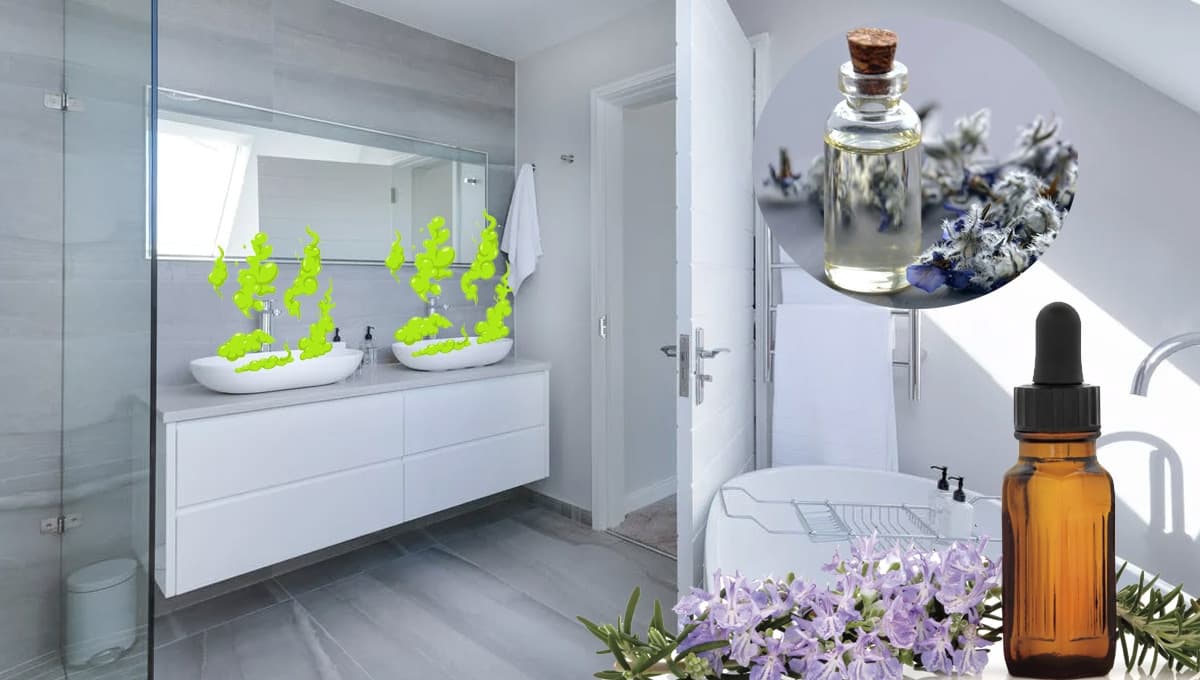 ¡Adiós olor a caño! 5 trucos para que el baño huela bien siempre