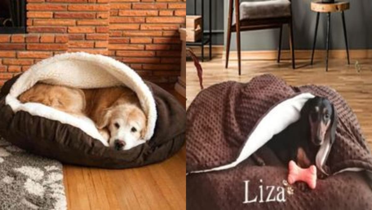3 ideas para hacer una cama para perro y consentir a tu lomito