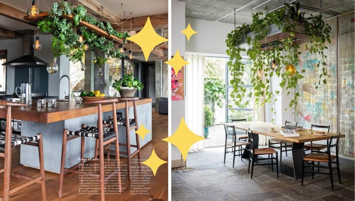 5 ideas para decorar las paredes de tu casa con plantas colgantes