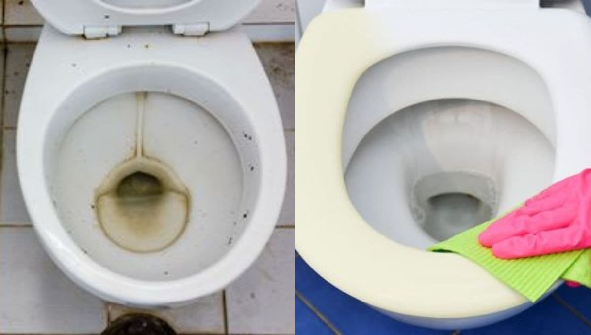 ¿Cómo quitar el sarro del inodoro sin meter la mano?