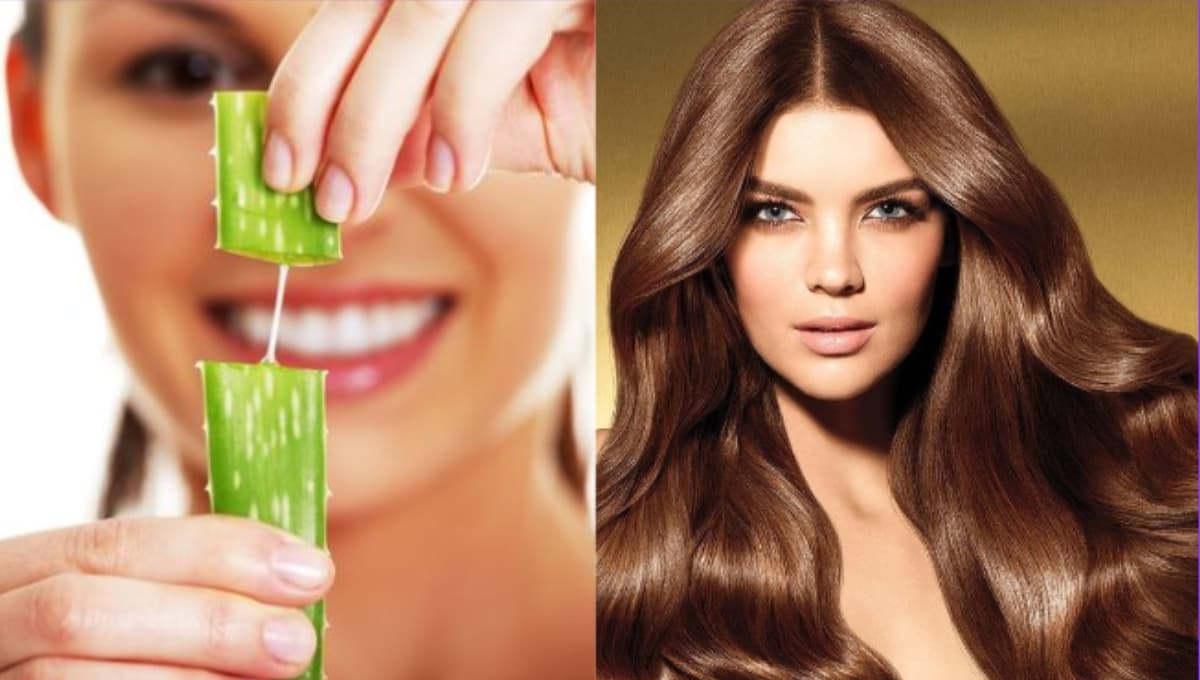 La mejor forma de hidratar el cabello seco y maltratado con sábila