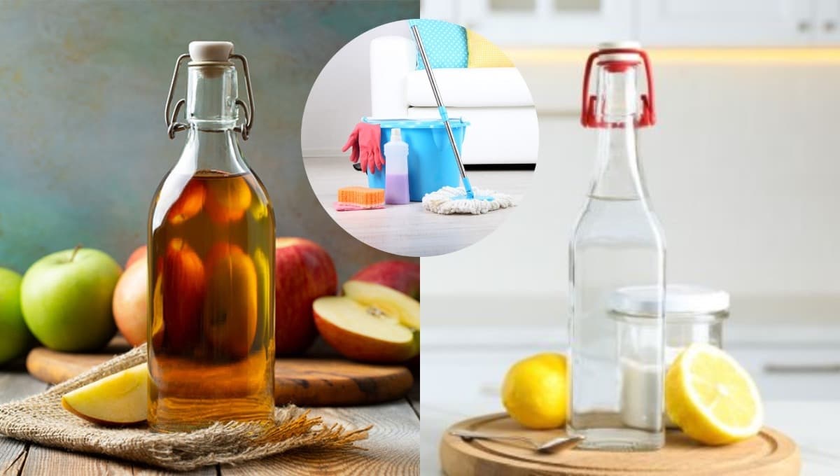 ¿Cuáles son las diferencias entre el vinagre de manzana y vinagre blanco para la limpieza?