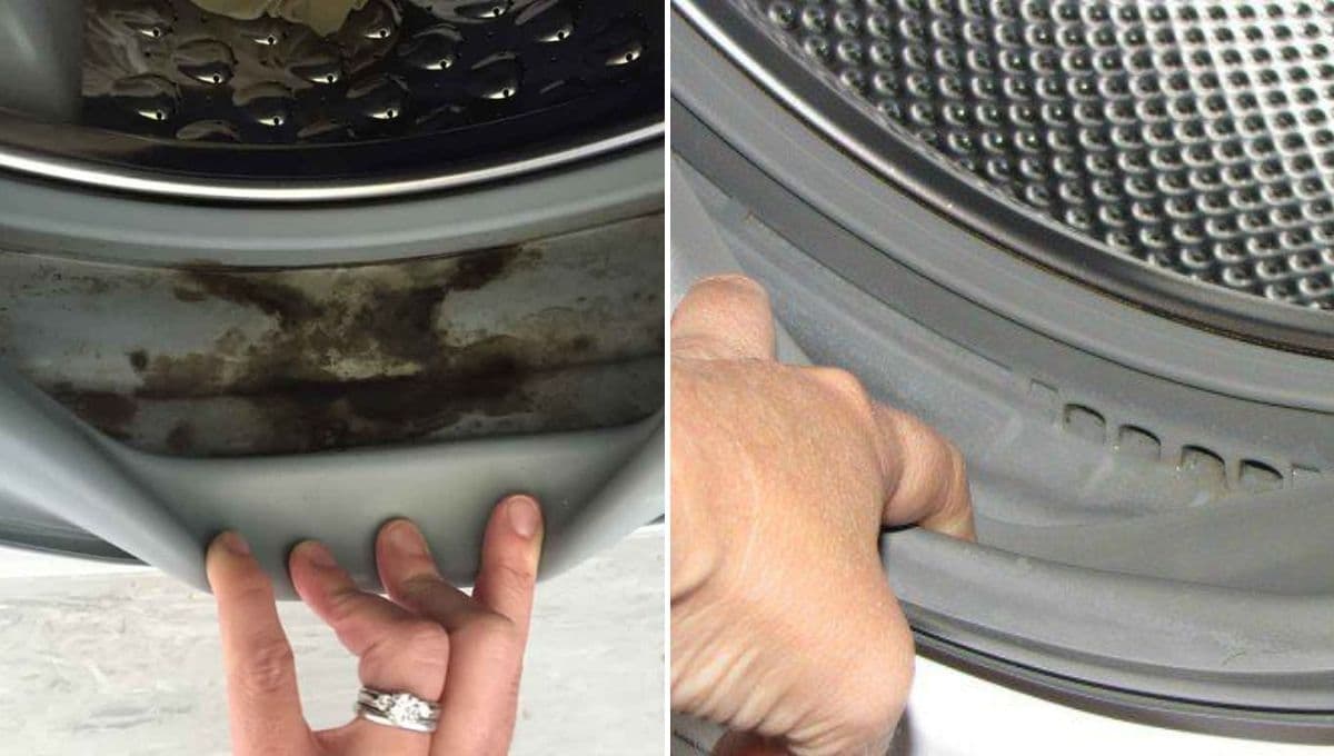 ¿Cómo quitar el moho de la lavadora?