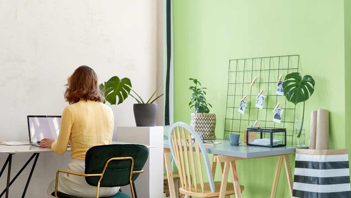 Feng Shui: 5 cosas que debes tener en la oficina para tener éxito y abundancia