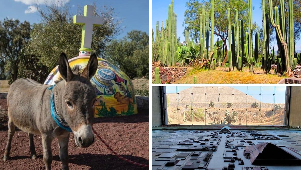 3 cosas que debes hacer en Teotihuacán estas vacaciones