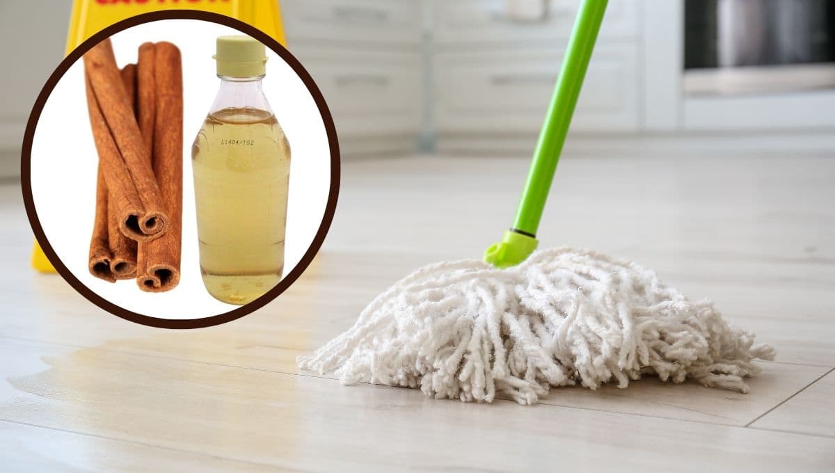 ¿Qué beneficios tiene trapear con vinagre y canela?