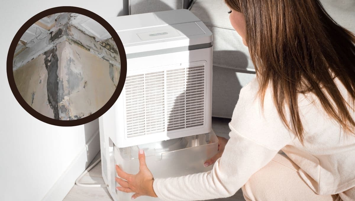 ¿Cómo acabar con la humedad en tu casa?
