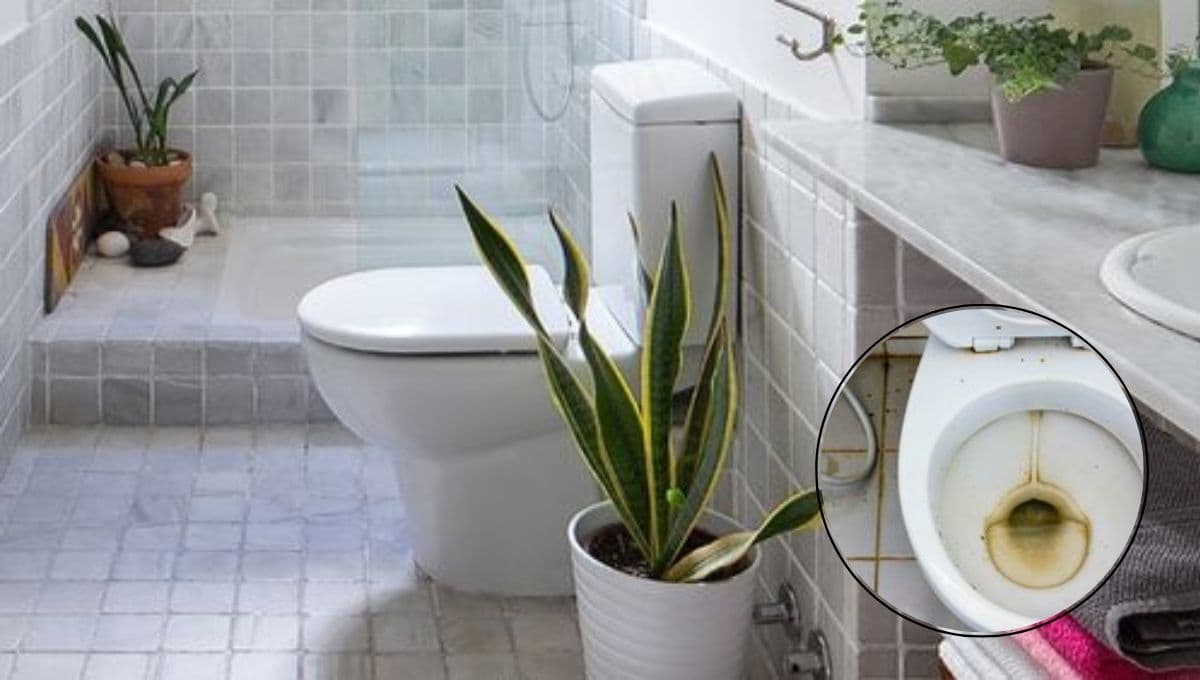 ¿Cómo quitar el sarro excesivo de la taza de baño?