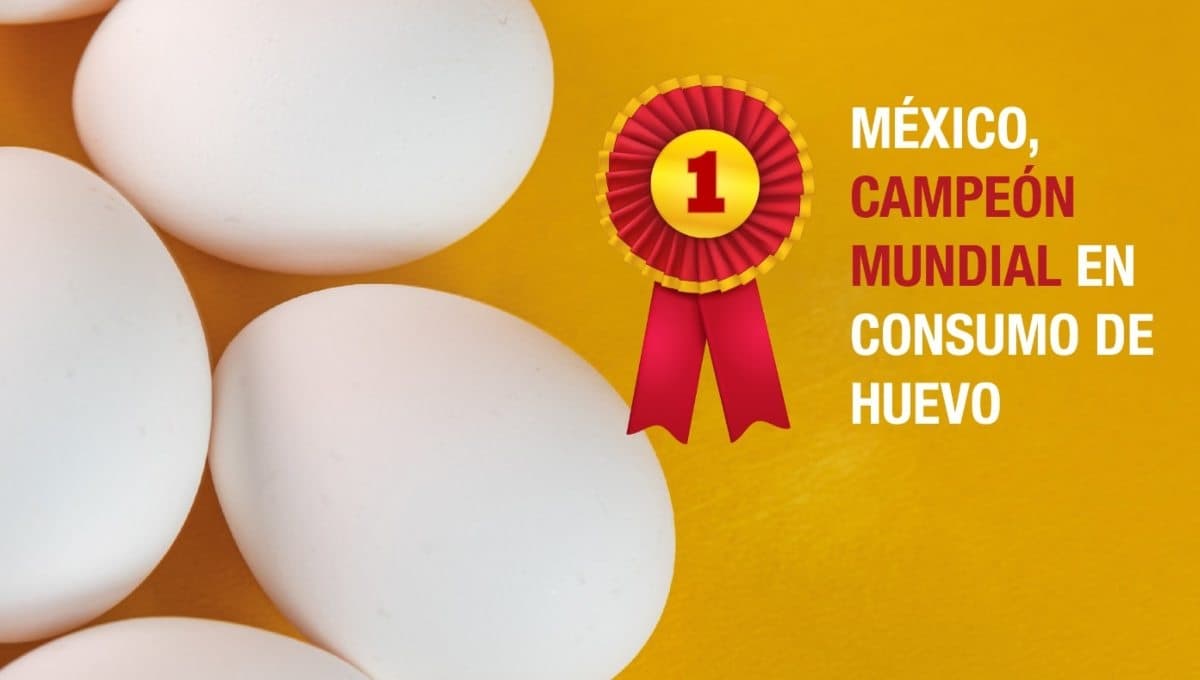 México, campeón mundial en consumo de huevo