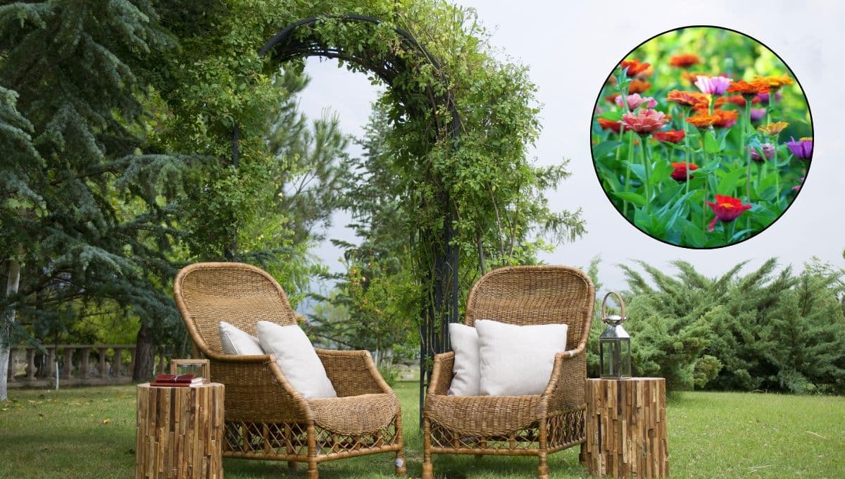 7 maneras de decorar un jardín de flores en casa