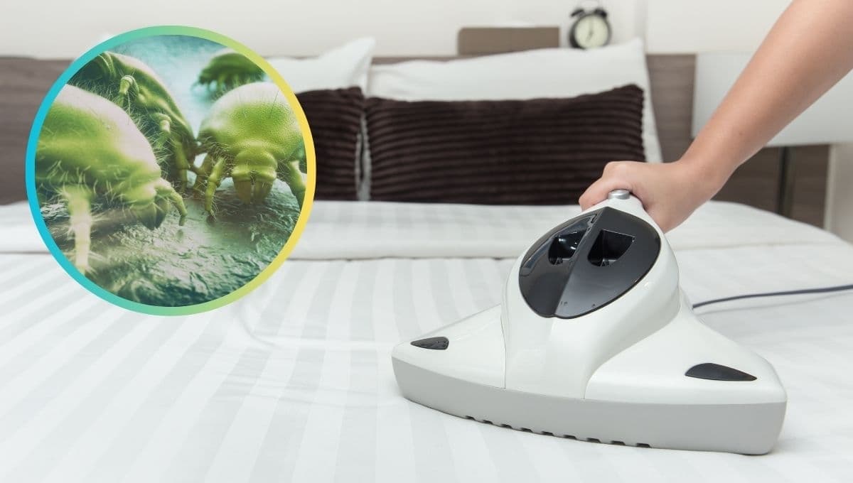 La mezcla con vinagre blanco para limpiar y eliminar los ácaros de las almohadas