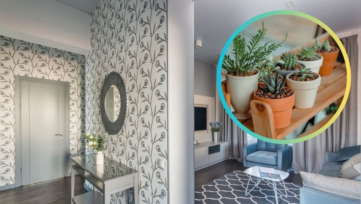 5 ideas para tener plantas en espacios pequeños