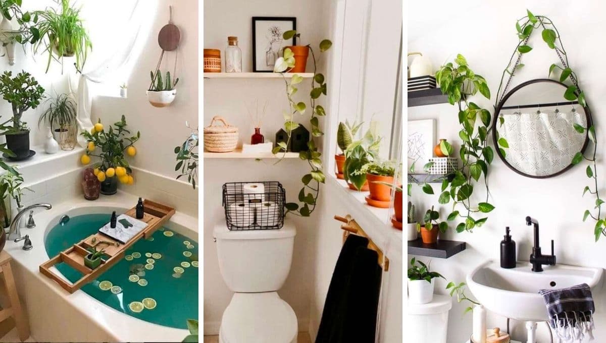 7 formas de poner plantas en el baño, quitar la humedad y darle un toque de color