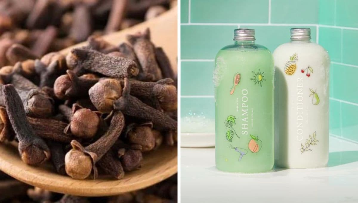 ¿Qué pasa si le pongo clavos de olor a mi shampoo?
