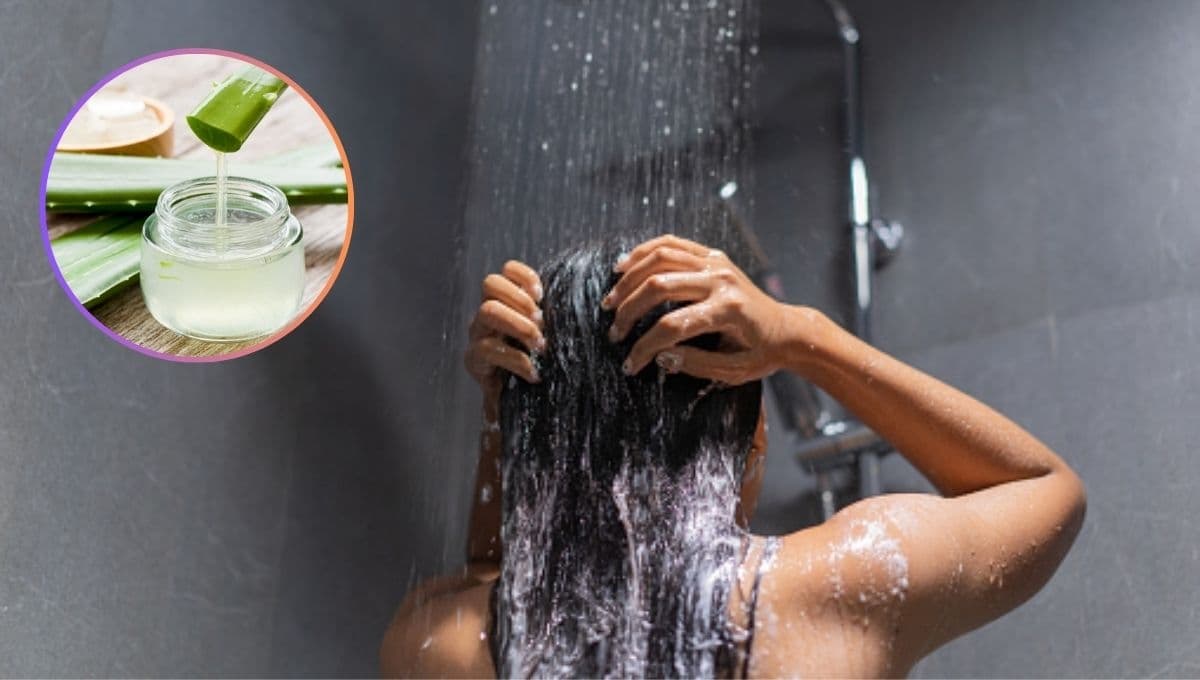 DIY: shampoo de aloe vera y romero para hidratar al máximo el cabello seco