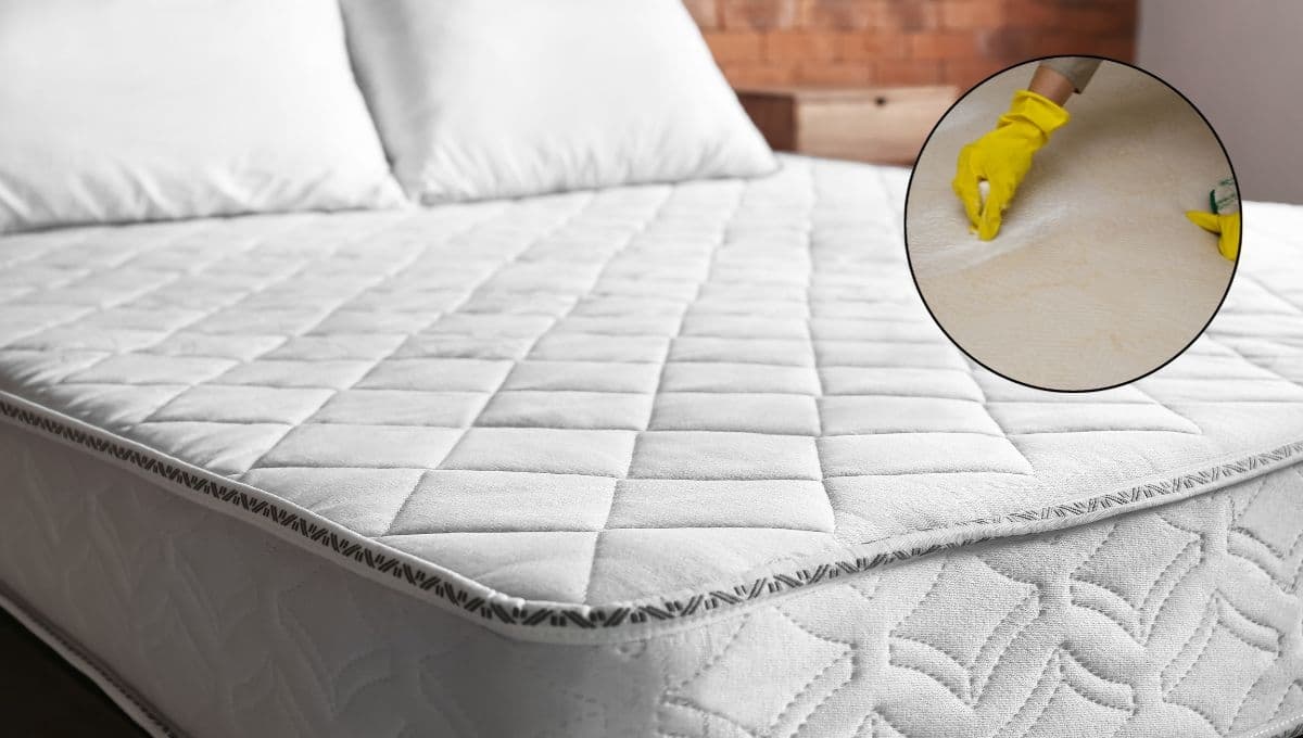 ¿Cómo quitar el color amarillo de los colchones? La mezcla casera para blanquearlo