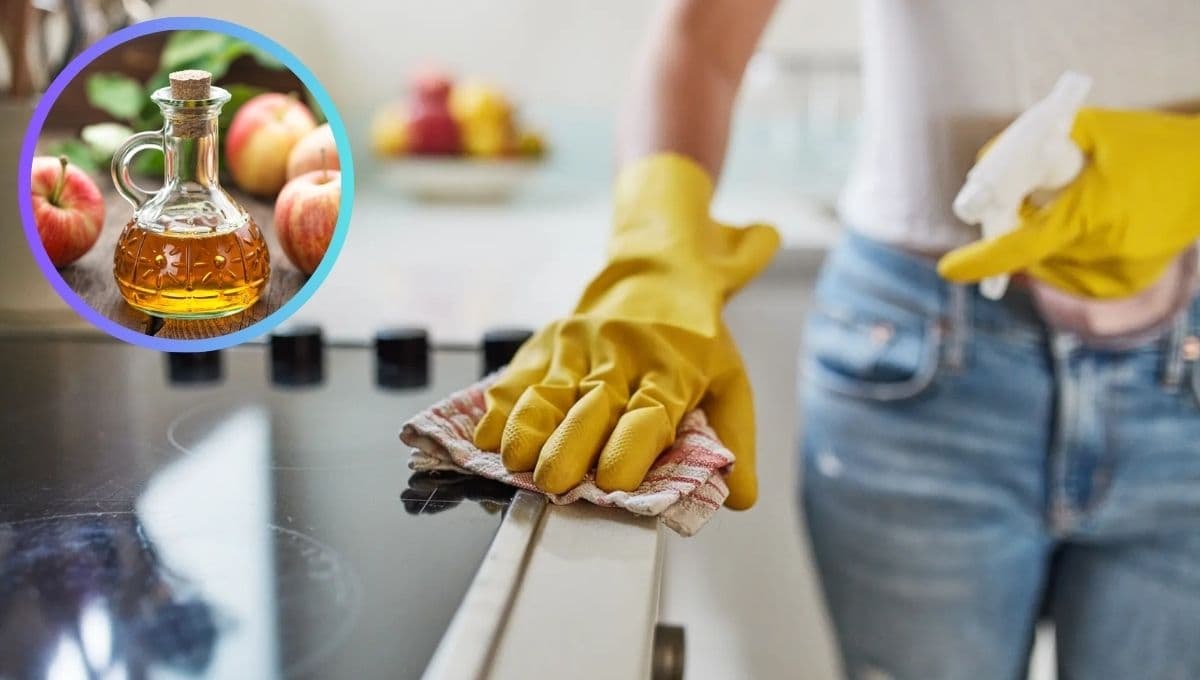Usos que desconocías del vinagre para la limpieza de tu casa