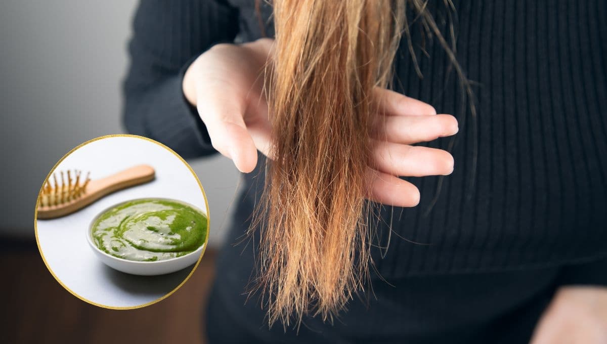 La mezcla para dar brillo, hidratación y suavidad al y cabello seco: tutorial