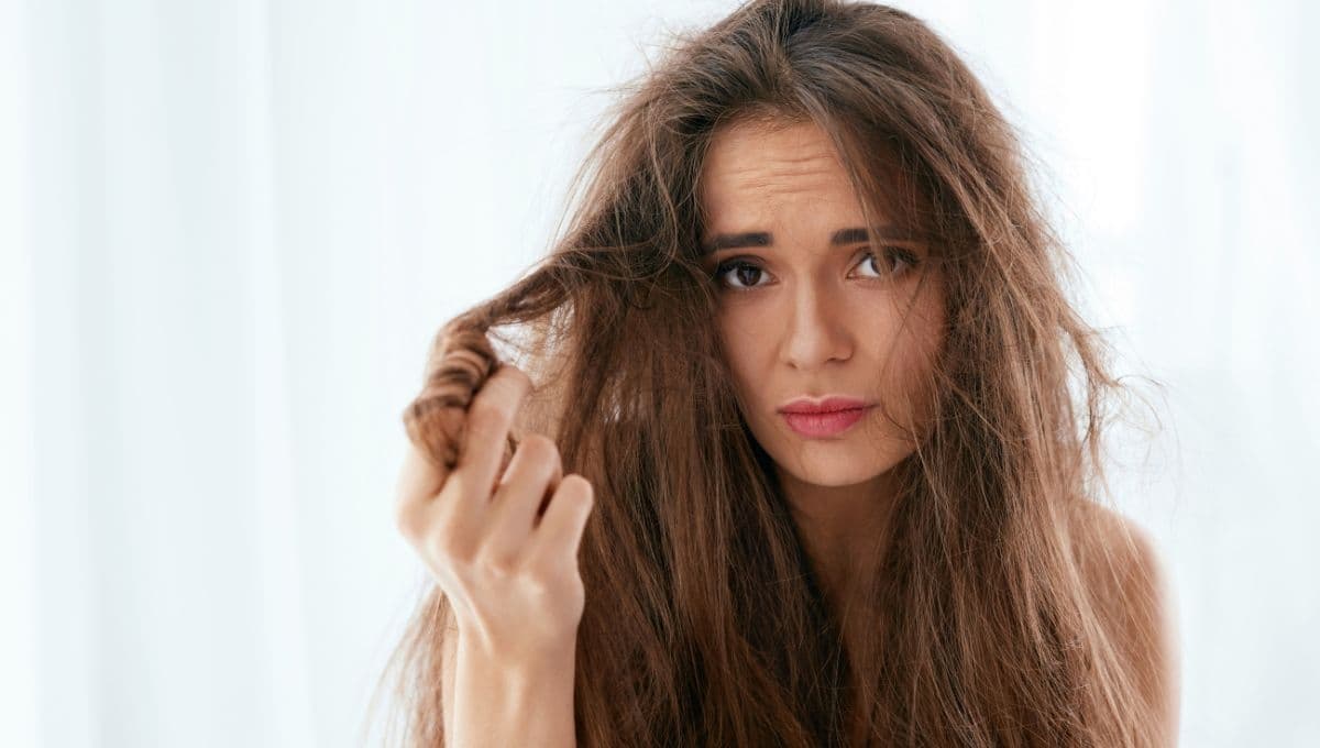 ¿Cómo saber si tengo el pelo seco o deshidratado?