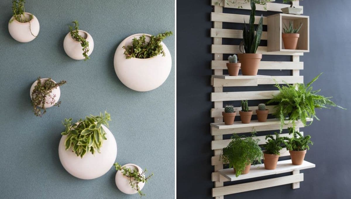 4 ideas para poner las macetas en la pared y lucir tus plantas
