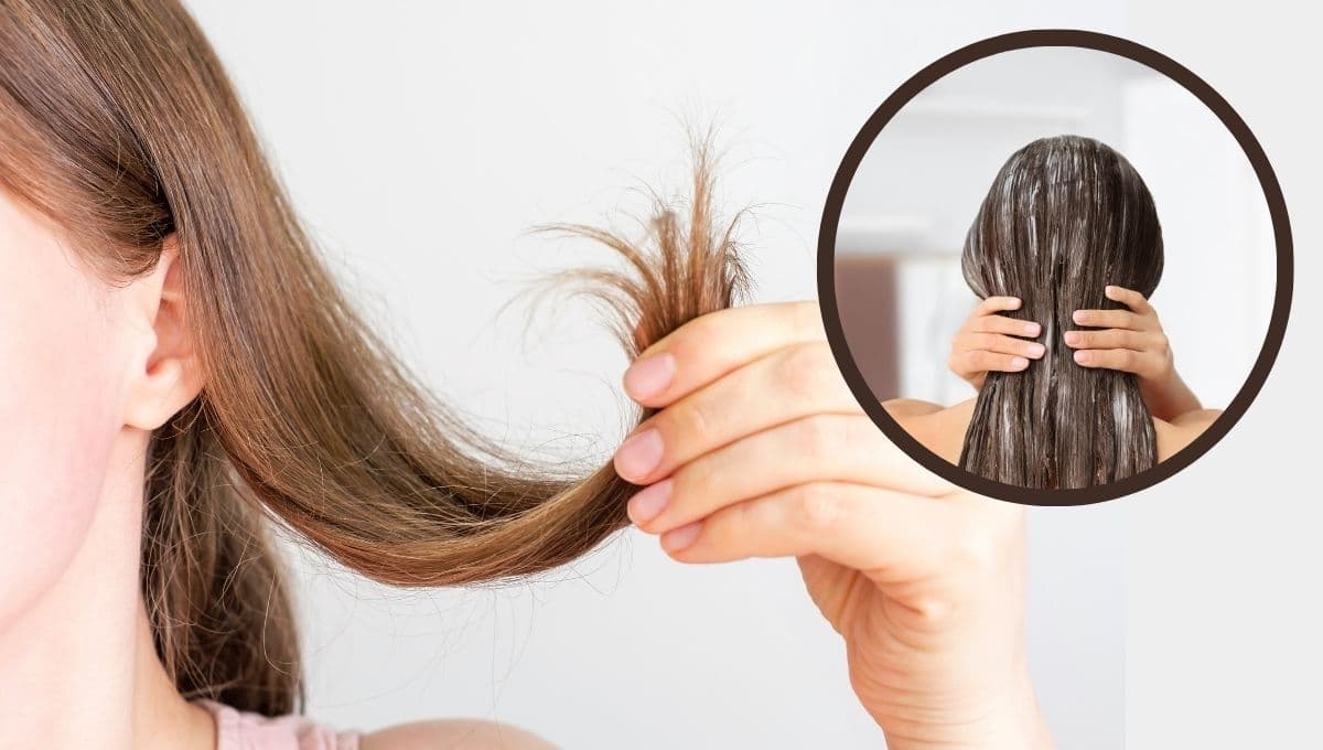 La mascarilla para cabello seco y quebradizo que le dará fuerza desde la raíz: tutorial