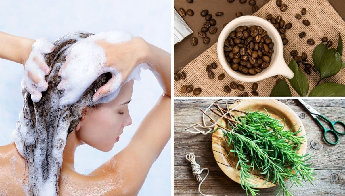 ¿Cómo preparar shampoo de café y romero para el cabello?