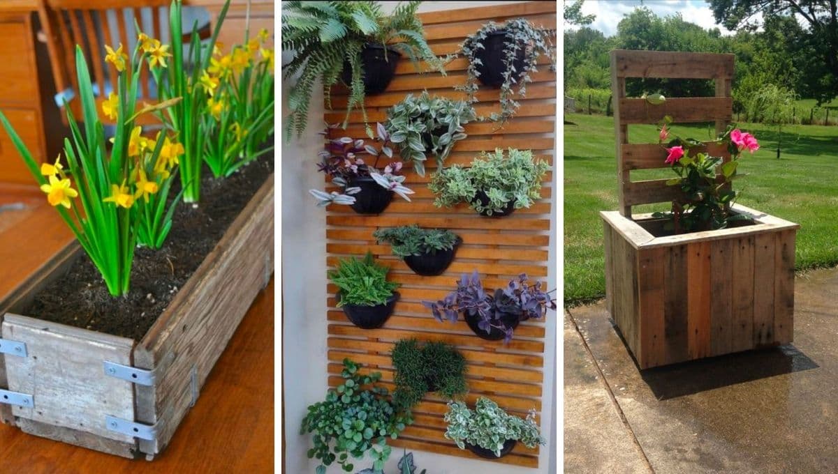 Moderniza tu patio pequeño con estas ideas de macetas con pallets para tus plantas