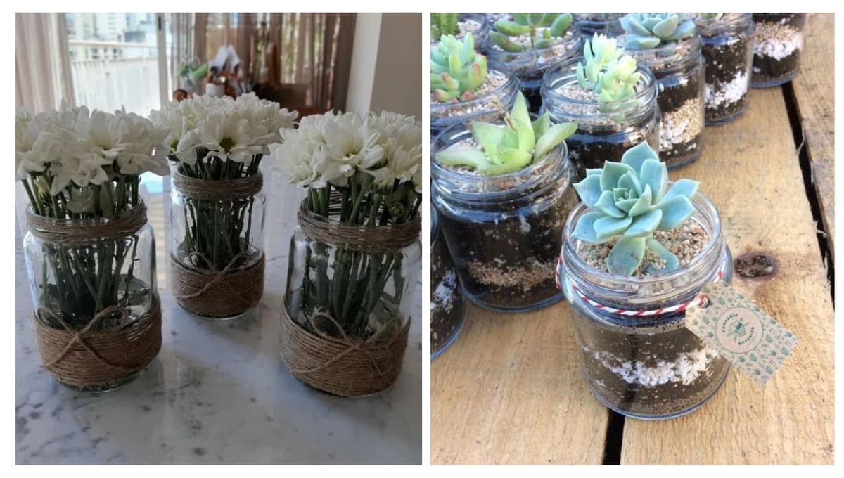 Material reciclado: 4 ideas para decorar tu casa con plantas en frascos de vidrio