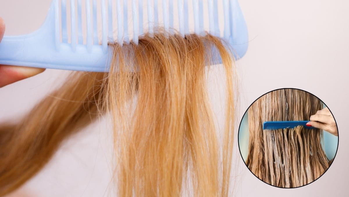 Hidrata tu cabello con esta mascarilla natural de 2 ingredientes que tienes en casa