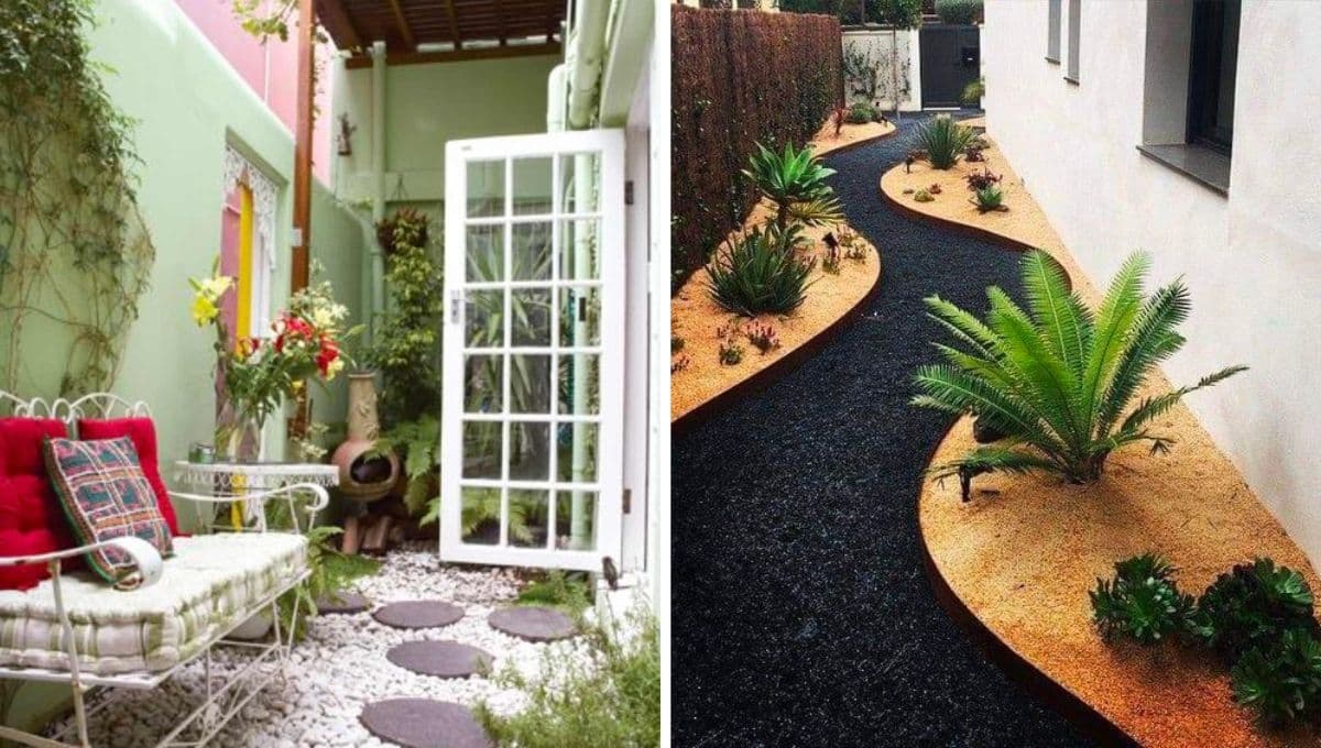 ¿Cómo decorar un patio sencillo de casa de Infonavit? 4 ideas con plantas y piedras