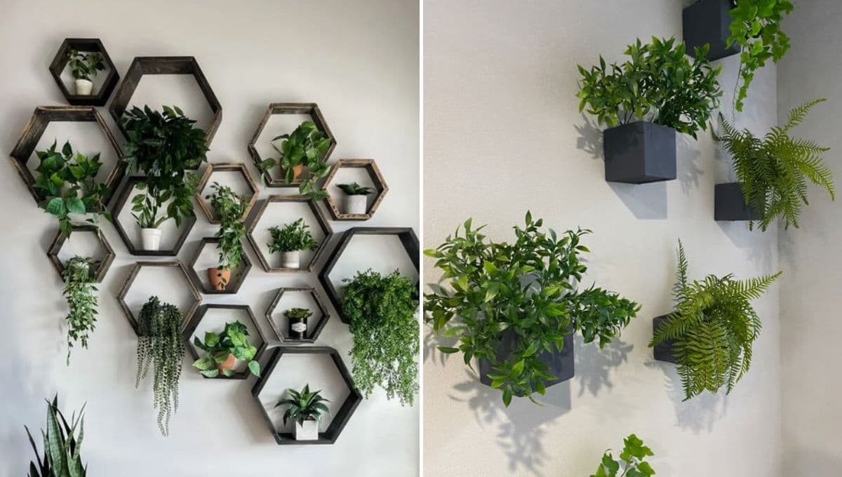 ¿Cómo decorar la sala con maceteros de pared? 4 ideas innovadoras para refrescar tu casa