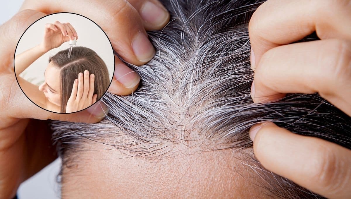 Despídete del tinte: oscurece las canas con este ingrediente que no maltrata el cabello