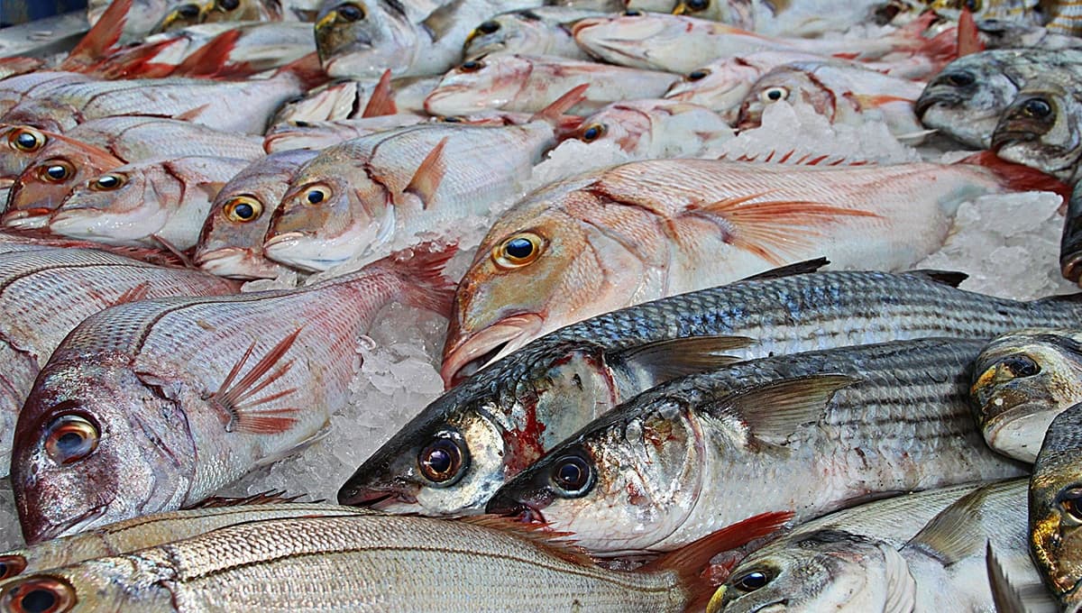 ¿Cómo congelar el pescado de forma segura?