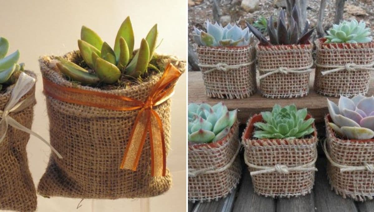 Remodela cada centímetro de tu casa con estas 4 ideas de macetas con yute para plantas