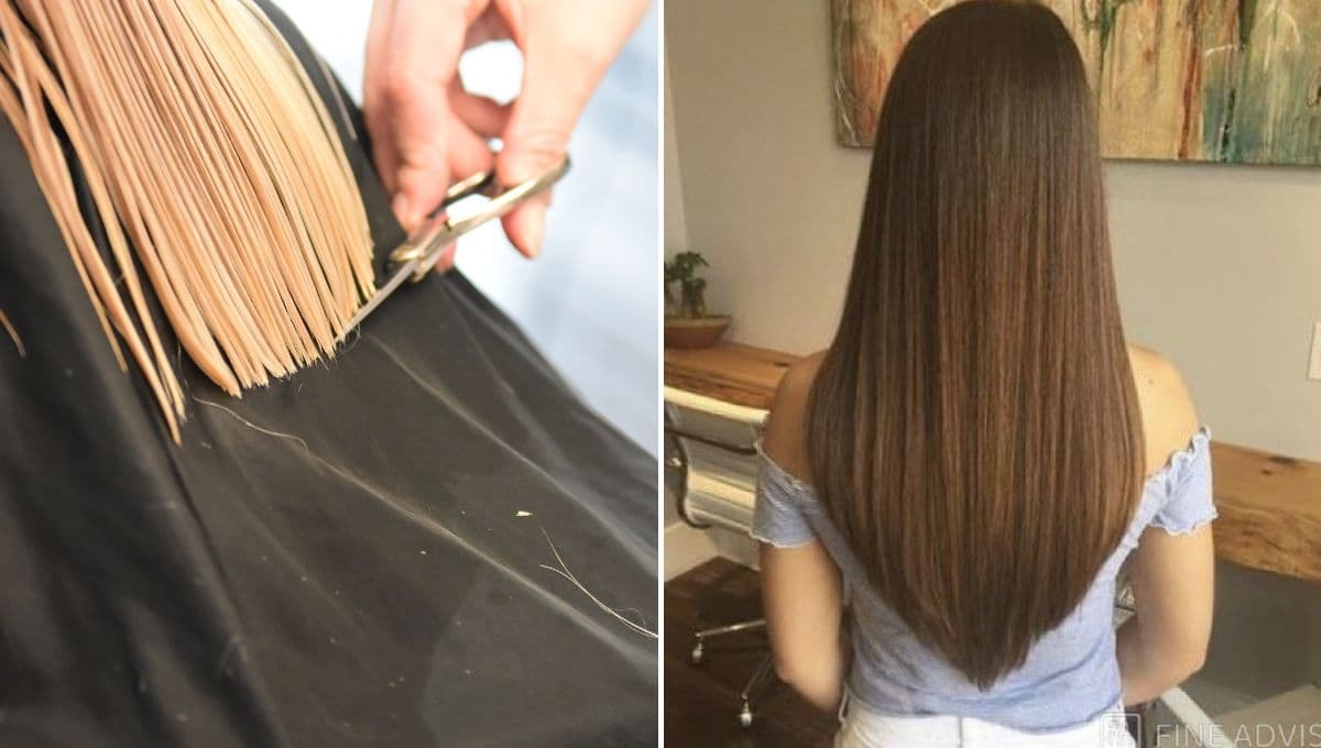 Corte de cabello en V, el estilo para quitar puntas abiertas y mantener el largo de tu pelo