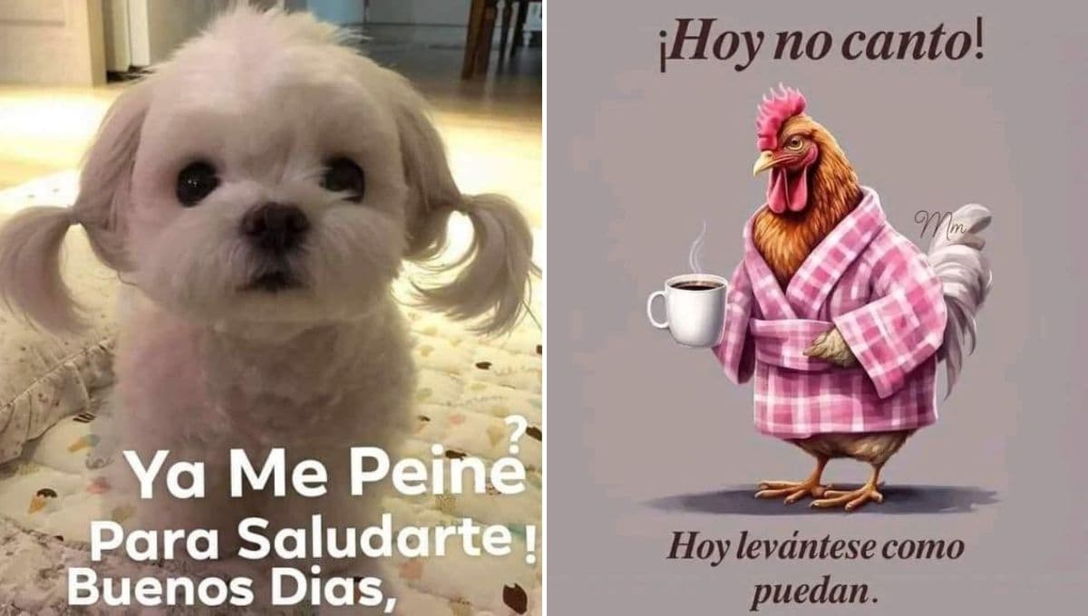 Stickers de "buenos días familia" para enviar frases al chat familiar de WhatsApp