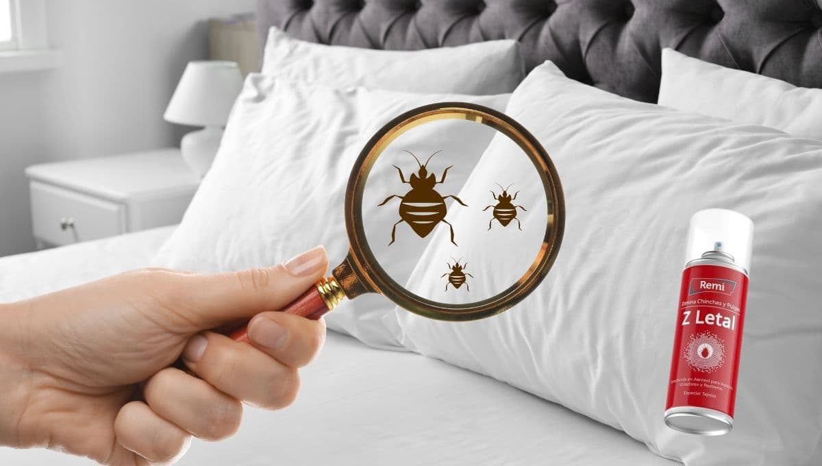 5 productos que te ayudan a ahuyentar a las chinches de tu hogar