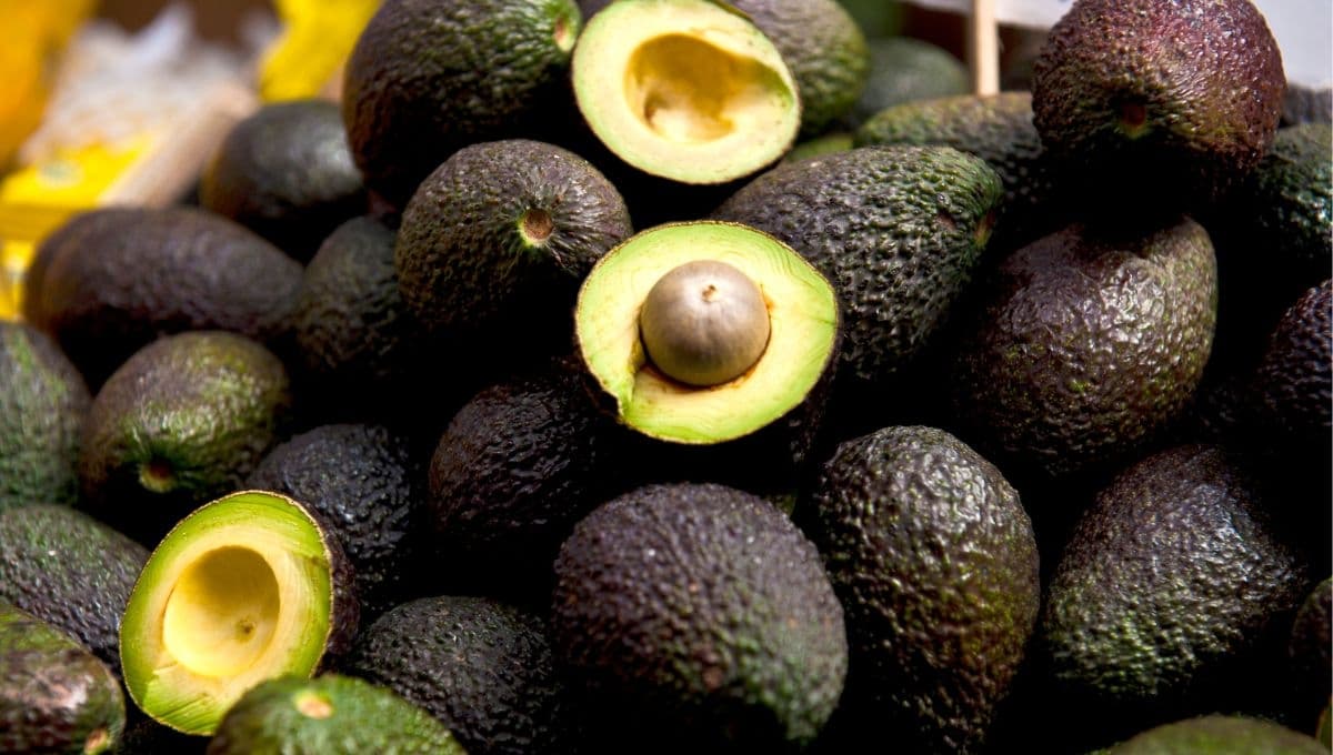 Precio del aguacate en Walmart y el mercado por kilo HOY 25 de junio