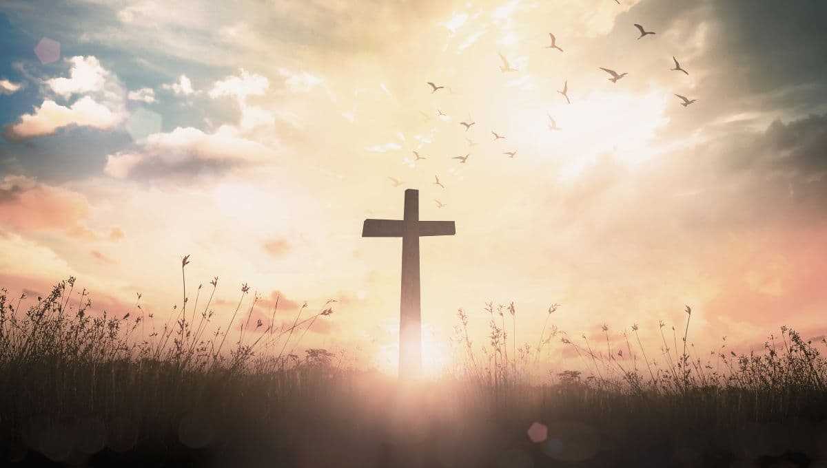 cuáles son las lecturas del evangelio para el sábado 24 de mayo