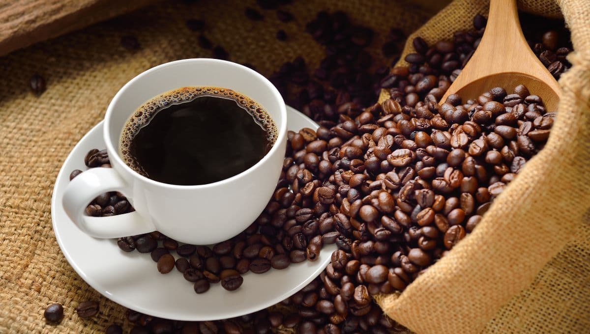 Para qué sirve el café, beneficios de tomarlo diario