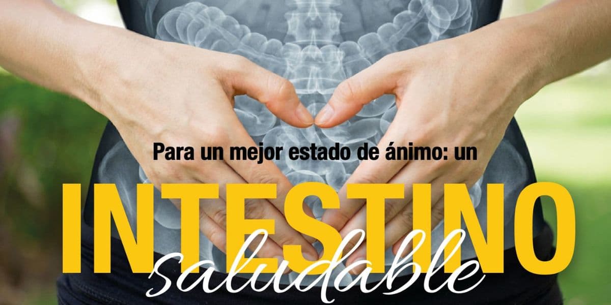 intestino saludable mente saludable